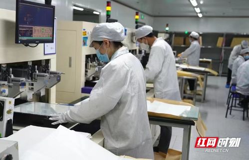 电子工匠展风采，劳务品牌促发展——冷水滩区以专业劳务品牌助力就业与产业双赢